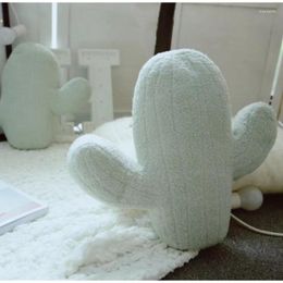 Pillow Ins Fresh Soft Cactus Home Decoration Couch Shooting Props Sofa Bed