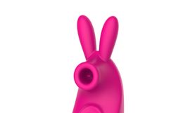 Venta al por menor y al por mayor Rabbit Nipple Kissing Vibrator con 10 frecuencias Modos de lamiendo de vibración Estimulador de clítoris de silicona suave Juguetes sexuales para mujeres RC042
