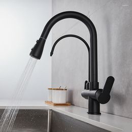 Kitchen Faucets Matte Black Drinking Water Faucet Pull Out Spray 360 Rotary Philtre Three Way Sink