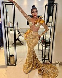 May Aso Ebi Gold Mermaid Prom Dress Beaded Feather Evening Formal Party Second Reception Birthday Engagement Gowns Dresses Robe De Soiree Zj356 407