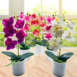 Decorative Flowers Fake Bonsai Fancy Beautiful Simulated Orchid No Watering Eye-catching Faux
