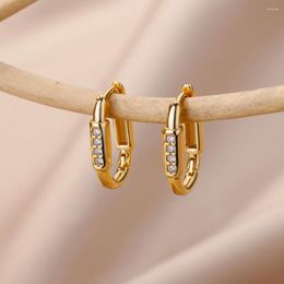 Hoop Earrings Luxury Glod Colour Circular Zircon Earings For Women Pendientes Plata 925 Certificada In Fashion Gift And Wed