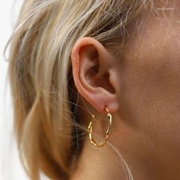 Hoop Earrings Wholesale High Polished Classic Geometric Women Jewellery Gold Colour Medium Sized Bamboo Earring