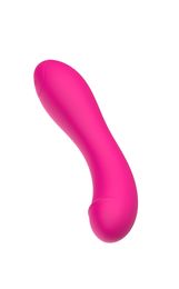 Venta al por menor y al por mayor masajeador estimulador del clítoris varita de silicona suave al tacto con 10 modos de vibración juguetes sexuales para mujeres RC053