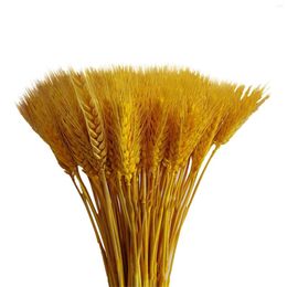 Decorative Flowers 100pcs Artificial Natural Wheat Dried Bouquet Simulation Living Room Decoration Wedding Sign