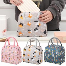 Dinnerware Sets Tote Lunch Bag For Girls Colorful Insulation With Large Capacity Bags Women Size More Pockets