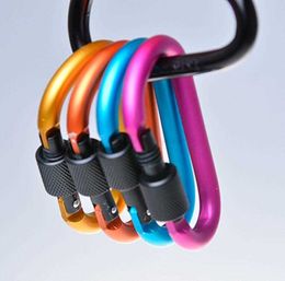 Camping Equipment Outdoor Sports D ring snap carabiner hook camp keychain Aluminium locking Carabiners clip Hook carabiner buckle