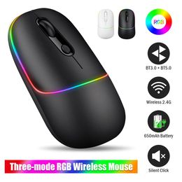 Mice 2.4G Wireless Mouse Rechargeable Silent Wireless Bluetooth Mouse with 3 Modes RGB Mouse for Laptop Desktop Windows Mac Ipad