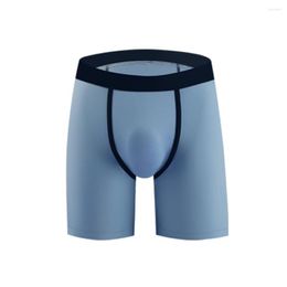 Underpants Mens Ice Silk Bioxers Lenthen Seamless Underwear Plus Size Breathable Trunks Smooth Solid Brief Casual Swim Panties