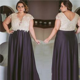 2023 Formal Plus Size Prom Dresses Lace A Line Special Occasion Gowns V Neck Evening Dress Sleeves