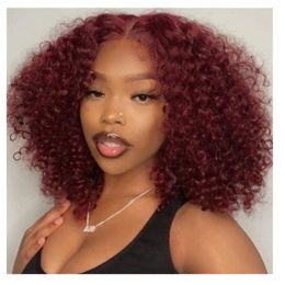 New Auburn afro kinky curly human hair wigs for black women full natural none lace trendy hot Coloured Cooper glueles wigs cheap for sale 150%density