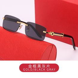 Man Glasses Designer Sunglasses Women Fashion Frameless Accessories Rectangle Coating Buffalo Horn Sunglass UV400 Evidence Eyeglass Wooden Mens Eyewear