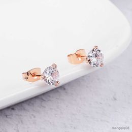 Charm Clear Stud Earrings For Women Crystal Earring for Male Various Size Crystals Ear Jewellry R230603