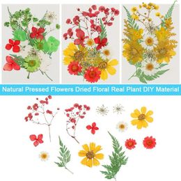 Decorative Flowers Real Dried Pressed Leaves Set Mixed Multiple Dry Flower DIY Candle Resin Jewellery Nail Pendant Crafts