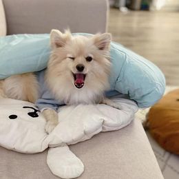 Mats INS Summer New Cute Pet Cool Feeling Sleeping Bag Dog Kennel Ice Silk Lyocell Dog Mat Puppy Air Conditioner Is Pet Supplies