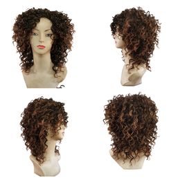 Black Women wigs Like Human hair wigs Cheap wigs Glueless wigs pre plucked 14 inches Kinky Curly Light Brown