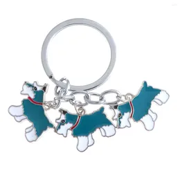 Keychains Creative Pet Dog Series Car Keychain Metal Keyring Decorations Hanging Pendant For Girls Women Gift (Schnauzer Blue)