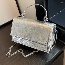 Evening Bags Crocodile Pattern Small Square Bag Women Handbag PU Leather Shoulder Vintage Chain Crossbody Female Party Clutch