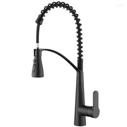 Kitchen Faucets Top Quality Brass Sink Faucet Pull Out Copper Mixer Tap With 2 Functions Spray Cold Water One Hole