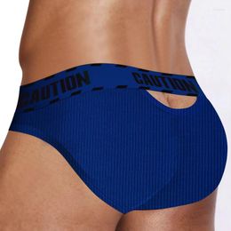 Underpants Hollow Gay Briefs Sexy Underwear Men Slip Cotton Mens U Convex Breathable Bikini Cueca Calzoncillos Honbre