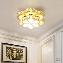 Chandeliers European Led Crystal Ceiling For Living Room Bedroom Dining Corridor Aisle Balcony Modern Home Indoor Lighting Lamps