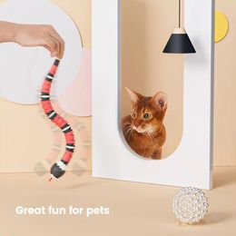 Toys Smart Sensing Snake Cat Toys Electric Interactive Toys for Cats Usb Charging for Pet Dogs Game Play Toy Cat Accessories