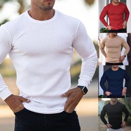 Men's T Shirts Long Sleeve Shirt Men Fitness Sports T-shirt Casual Bodybuilding Skinny Top Soft Bottoming Running Woollen Sweater