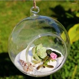 Candle Holders Clear Glass Ball Hanging Air Plant Terrarium Wedding Candlestick Tealight For Home Decor 8cm 10cm 12cm 15cm