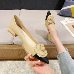 Colour Matching Shoes Womens Thick Heels Spring 2023 New Joker Elegant Flowers Soft Leather Flat Heels Pointy Commuter Shoes