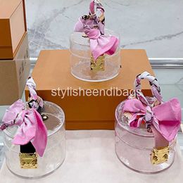 stylisheendibags Cosmetic Bag Handbag Purse Clutch Bags Fashion Transparent PVC Gold Hardware Lock Ribbon Decoration Transparent Letter Printing Women Handbags