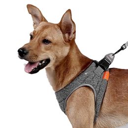 Harnesses Dog Cat Harness Pet Adjustable Reflective Vest Walking Lead Leash for Puppy Harness for Small Medium Dog