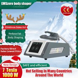 Slimming Machine 2023 Mini 1 Handle Multi-functional Replacement DLS-EMS-LIMHIEMT RF Home Fitness EMS Muscle Stimulation Fat Burning Beauty Apparatus Beauty Salon