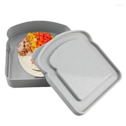 Storage Bottles Sandwich Box Lunch Containers Food Microwave And Freezer Safe For Kids