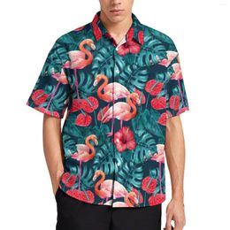 Men's Casual Shirts Flamingo Birds Tropical Garden Beach Shirt Hawaii Fashion Blouses Male Pattern Plus Size 3XL 4XL