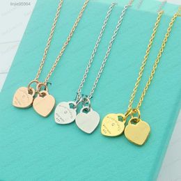 New Designer 2 Heart Necklace Woman Stainless Steel Blue Pink Pendant Jewellery on the Neck Valentine Day Christmas Gifts for Girlfriend with Boxjkfo{category}