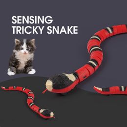 ElectricRC Animals Smart Sensing Interactive Cat Toys Automatic Eletronic Snake Teasering Play USB Rechargeable Kitten For Cats Dogs Pet 230605