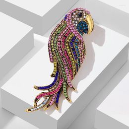 Brooches Colourful Rhinestone Parrot For Women Vintage Bird Brooch Pin Jewellery Clothes Accessories High Quality