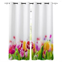 Curtain Field Of Colourful Spring Tulips Fading Into The Distance Lower BorderWhite Copyspace Window Curtains For Living Room Bedroom