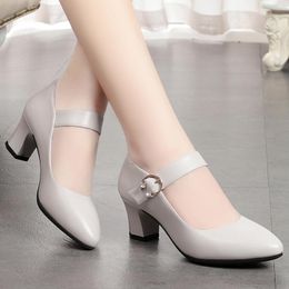 LIHUAMAO fashion women Mary Jean shoes comfortable square heel slip on breathable party casual ladies cute cosplay shoes