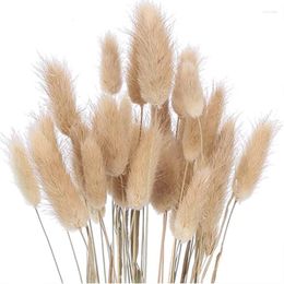 Decorative Flowers 25 Pcs Dried Nunny Tail Grass Natural Primary Color Bouquet For Home Decor Gifts Wedding Table Black White Flore