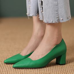 Point Low Heels Pumps Women Shoes Elegant Genuine Leather Nude White Green Heeled Ladies Office Dress Pumps Shoes 2023 Spring