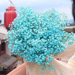 Decorative Flowers Real Natural Dried Gypsophila Valentine's Day Gifts Store Home Office Decor 78g/lot Long About 45cm White Red Blue