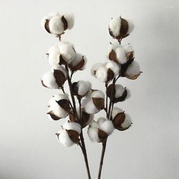 Decorative Flowers 22 Inch Natural Dried Cotton Stems Farmhouse Flower Filler Floral Wedding Home Decoration