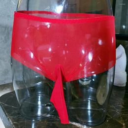 Underpants Sissy Pouch Panties Men Sexy Transparent Briefs Underwear Low Waist Mesh Sheer Gays Imitates Lingerie Bikini