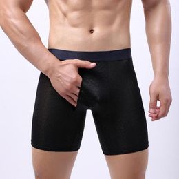 Underpants Men Ice Silk Boxer Briefs Long Leg Lingerie Mens Breathable Underwear With Open Pouch Swimwear Transparent Shorts Panties