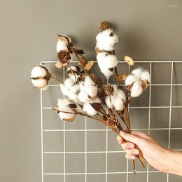 Decorative Flowers Naturally Dried Cotton Dry Flower Artificial Plants Floral Branch For DIY Home Room Decor Wedding Decoration