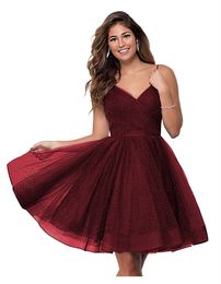 Short Homecoming Dresses Deep V-Neck Criss-Cross Sexy Backless Tulle A-Line Party Gowns Princess Plus Size Mini Birthday Prom Graudation Cocktail Party Gowns 46
