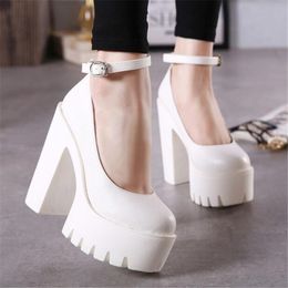 Woman Thick High Heels Shoes Ladies Sexy Platform Pumps Gothic Punk Style Ankle Strap Casual Shoes Ruslana Korshunova Model Pump