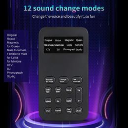 Portable Voice Changer, Handheld Microphone Voice Changer with Sound Multifunctional Effects Machine Voice Disguiser Mini Voice Changer