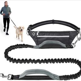 Carrier Hands Free Dog Leash With Waist Bag Reflective Jogging Dogs Traction Rope Extendable Bungee Dog Running Waist Leash Nylon Belt